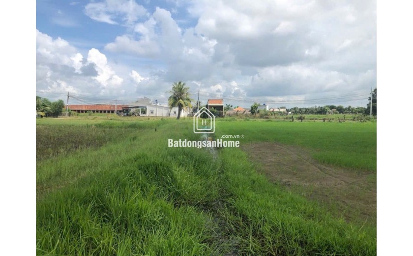 1Ha Đất Vuông SHR HXH – Đức Hoà Thượng Long An S